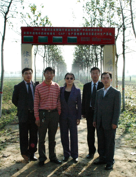取于天然 成于绿色-------总裁李德明一行考察安国种植基地